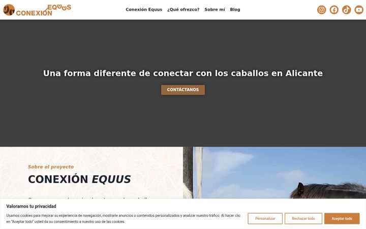 Screenshot of conexionequus.com