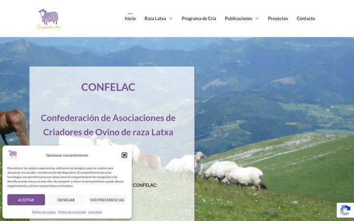 Screenshot of confelac.com