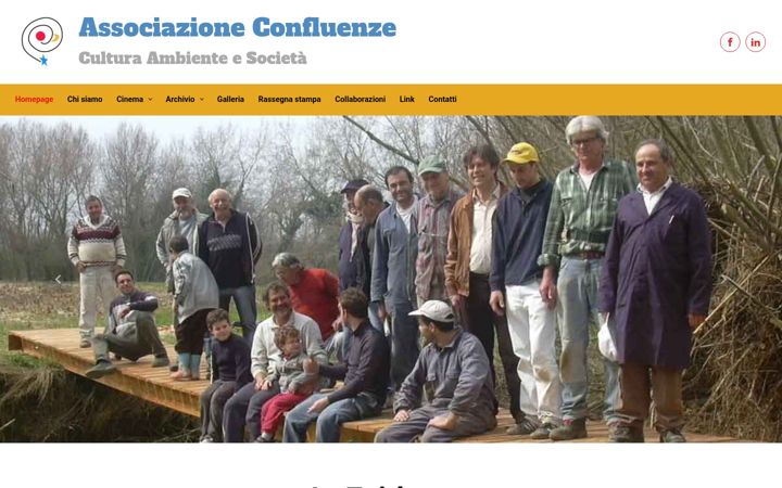 Screenshot of confluenze.org