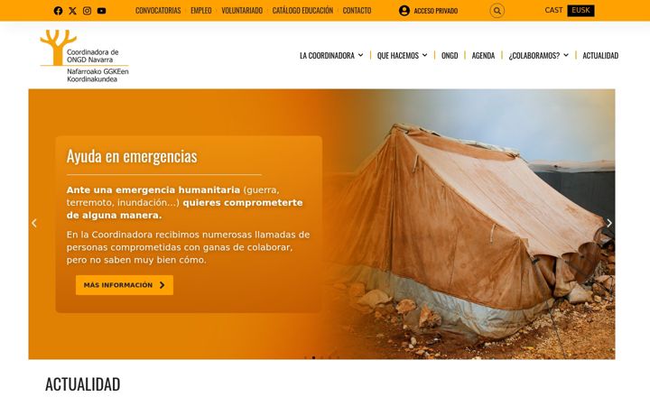 Zrzut ekranu congdnavarra.org