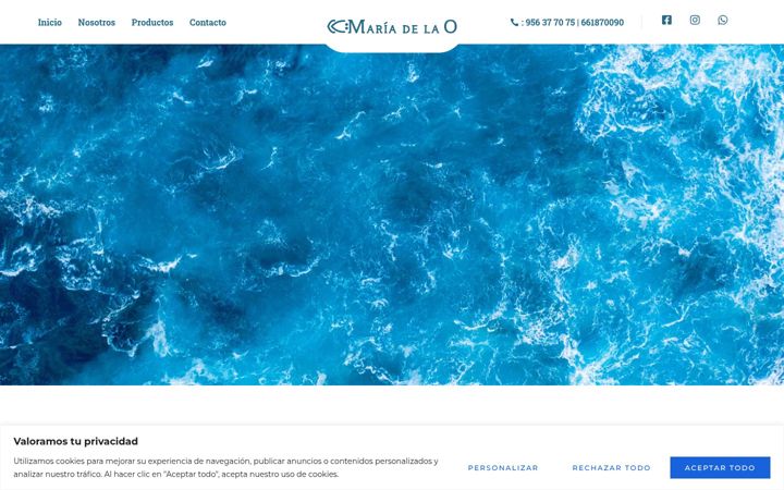 Screenshot of congeladosmariadelao.com