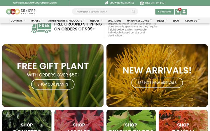 Screenshot of coniferkingdom.com