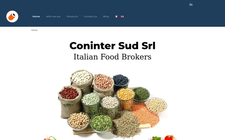 Screenshot of conintersud.it