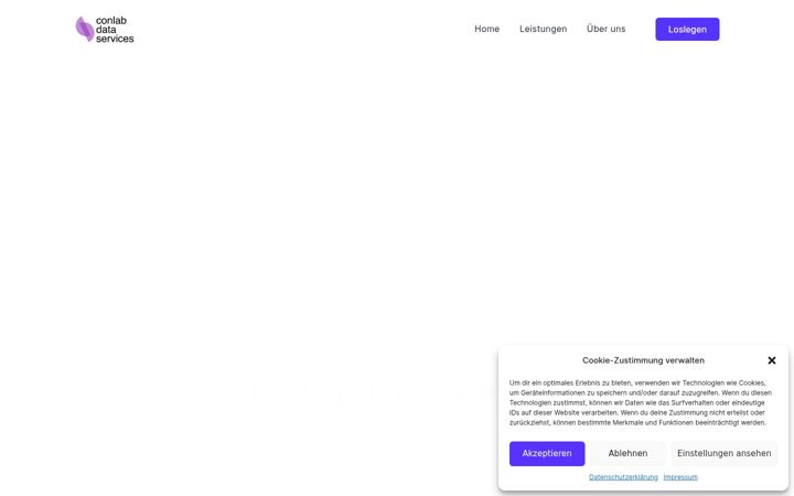 Screenshot of conlab-ds.com
