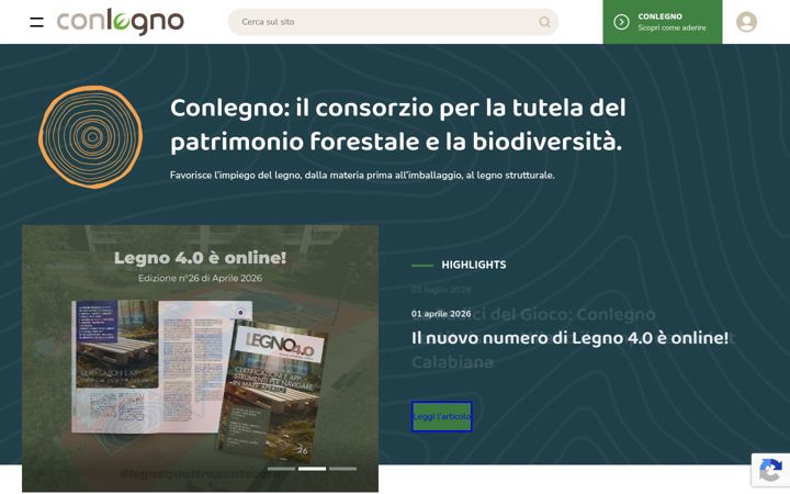 Screenshot of conlegno.eu