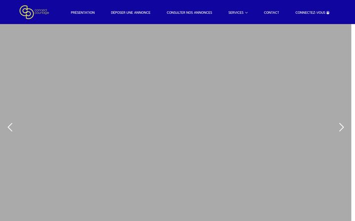 Screenshot of connect-courtage.com