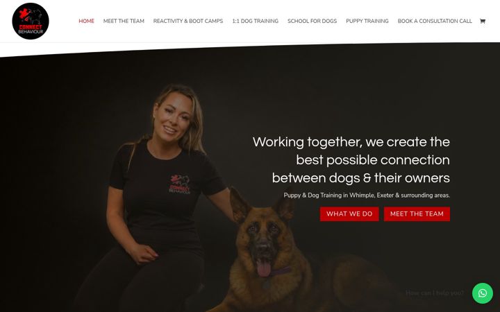 Screenshot of connectbehaviour.co.uk