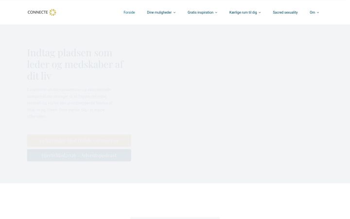 Screenshot of connecte.dk