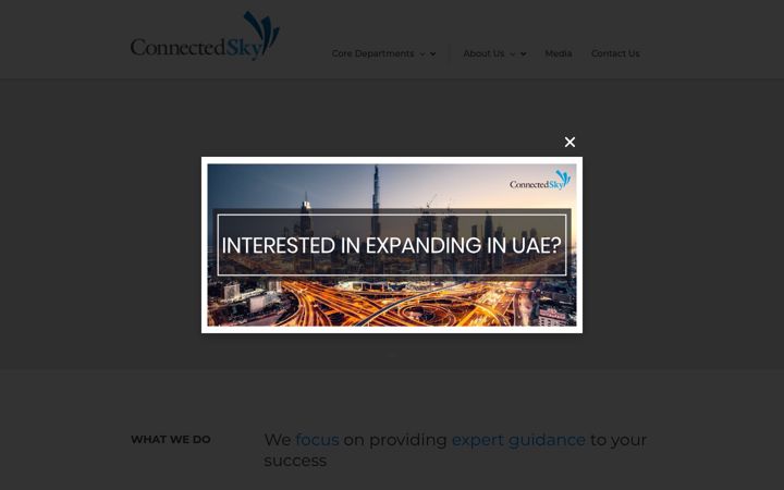Screenshot of connectedsky.com