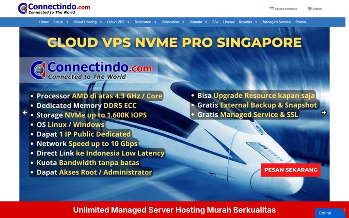 Screenshot of connectindo.net
