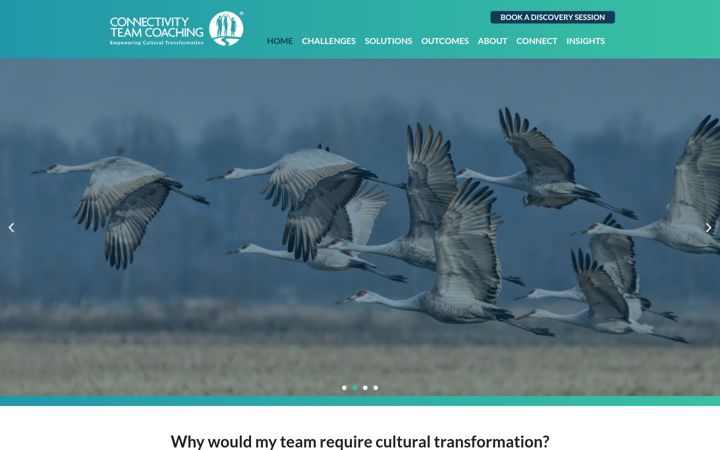 Screenshot of connectivityteamcoaching.com