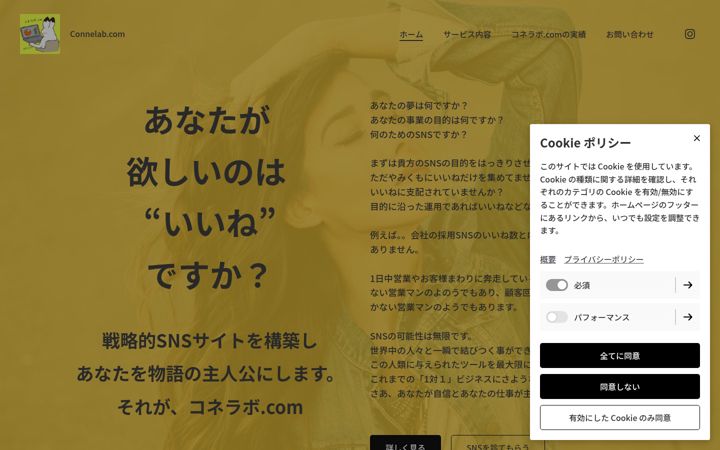 Екранна снимка на connelab.net