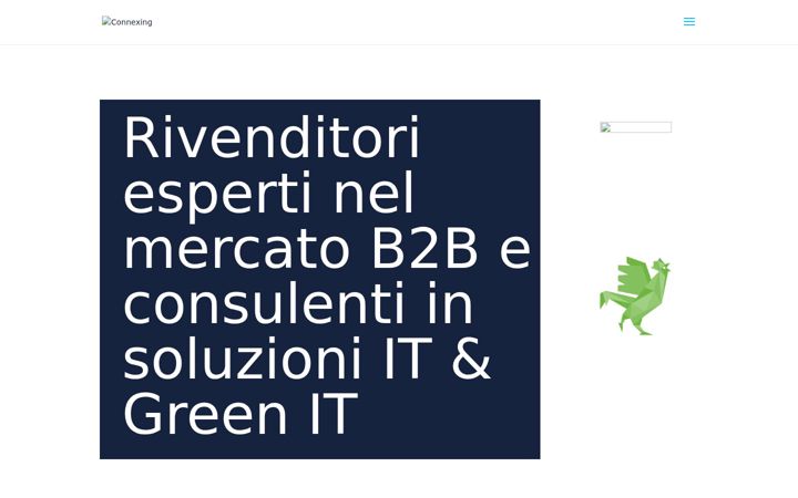 Screenshot of connexing.it