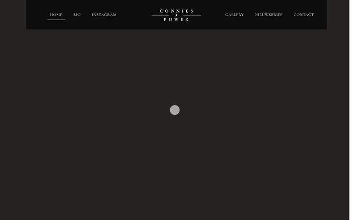 Screenshot of conniespower.com