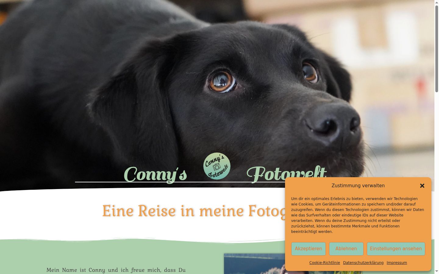 Sutikimo reklamjuostės, rodytos prieš bet kokią sąveiką, ekrano kopija