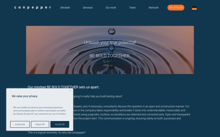 Screenshot of conpepper.com
