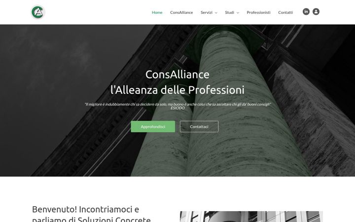 Screenshot of consalliance.com