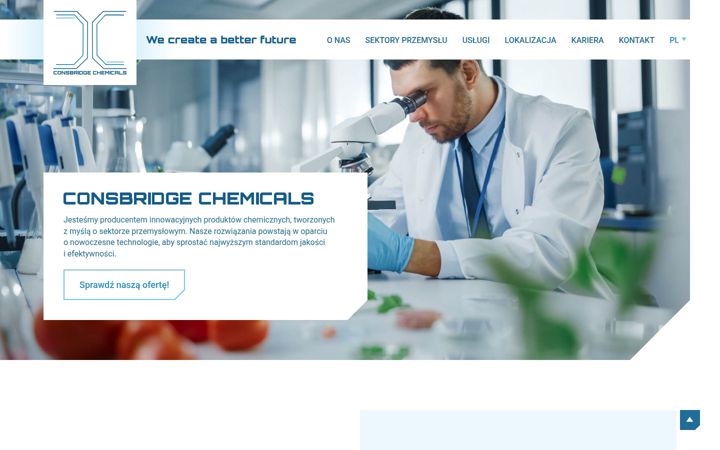 Screenshot di consbridgechemicals.pl