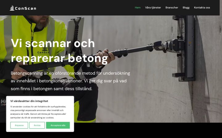 Screenshot of conscan.se