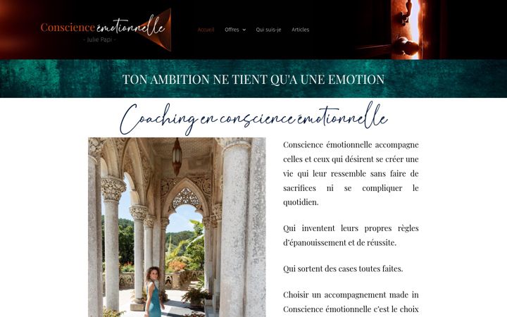 Screenshot of conscience-emotionnelle.fr