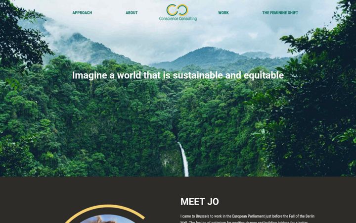 Екранна снимка на conscienceconsult.net