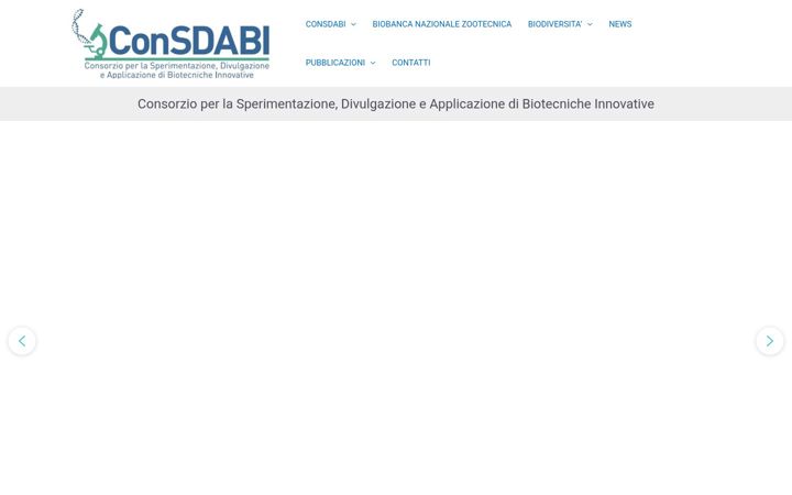Screenshot of consdabi.org