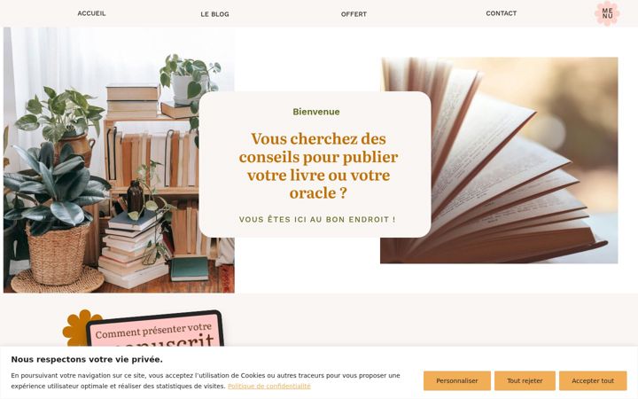 Screenshot von conseil-editorial.fr