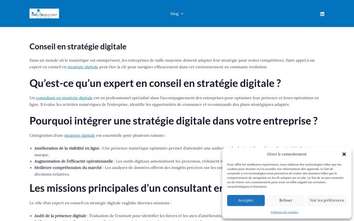 Screenshot of conseil-en-strategie-digitale.fr