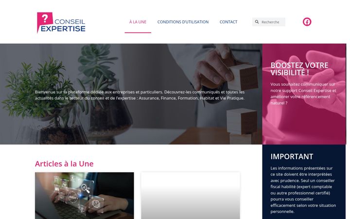 Zrzut ekranu conseil-expertise.fr