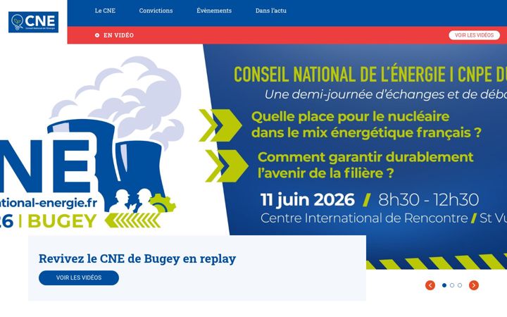 Screenshot of conseil-national-energie.fr