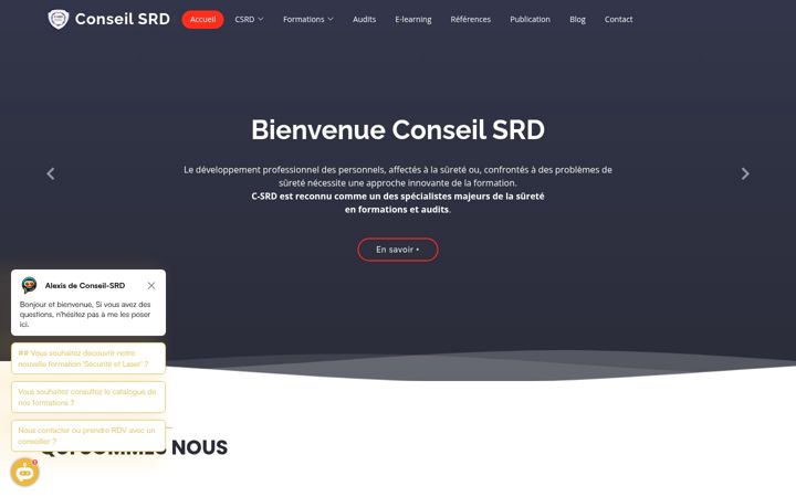 Screenshot of conseil-srd.net