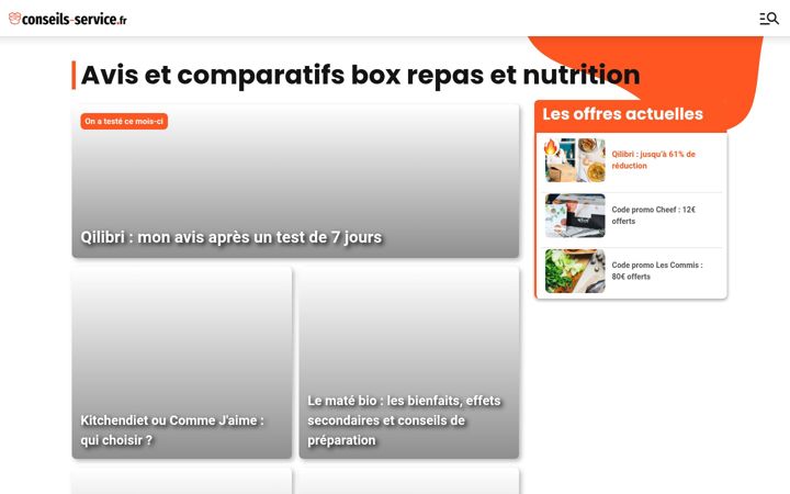 Screenshot of conseils-service.fr