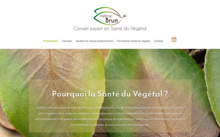 Screenshot of conseilsv.fr