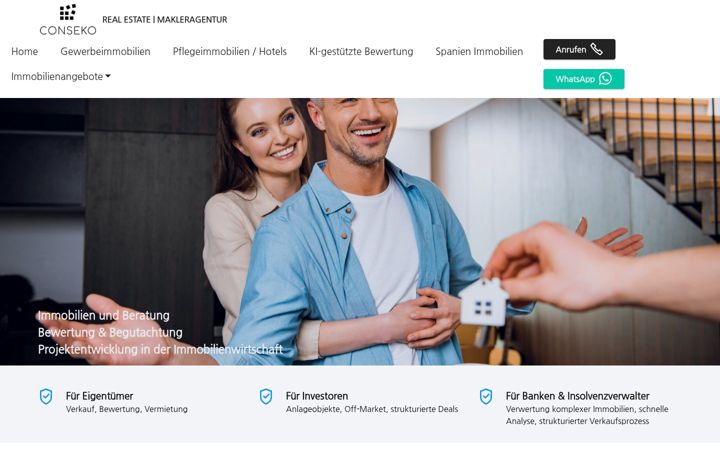 Screenshot of conseko.de