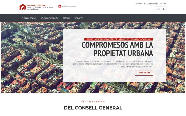 Screenshot of consellgeneral.cat