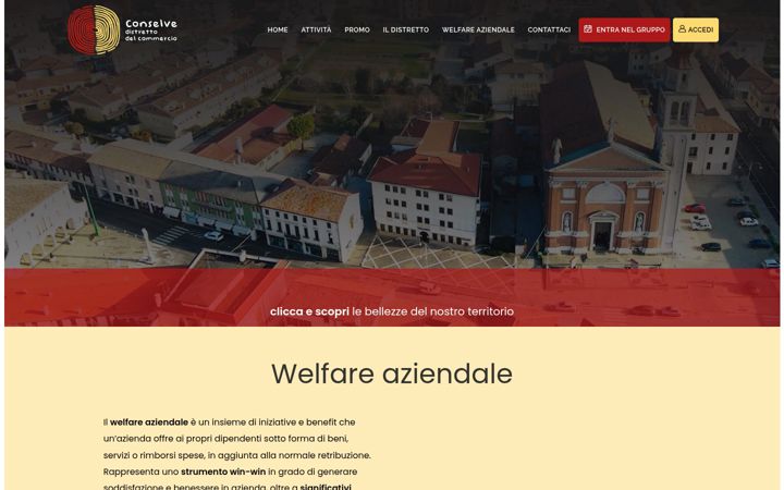 Captură de ecran a conselvecommercio.it