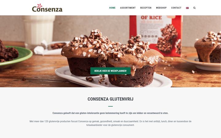 Screenshot of consenza.nl