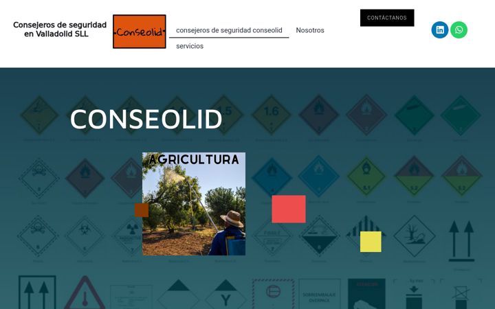 Screenshot of conseolid.com