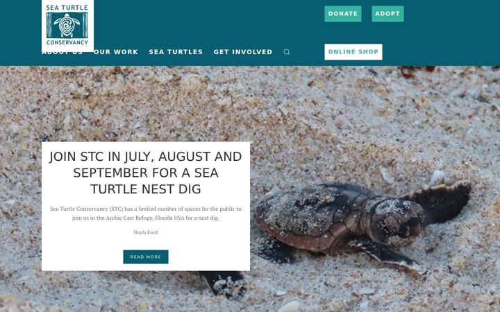 Skjermbilde av conserveturtles.org