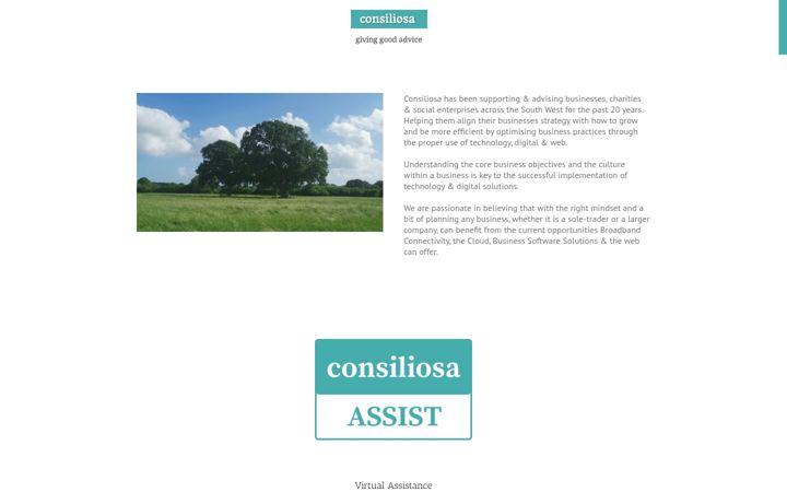 Screenshot of consiliosa.co.uk