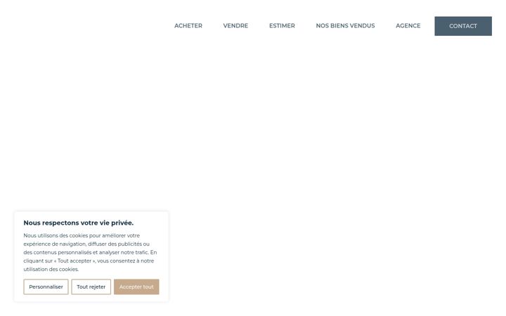 Snímek obrazovky consilium-immobilier.fr