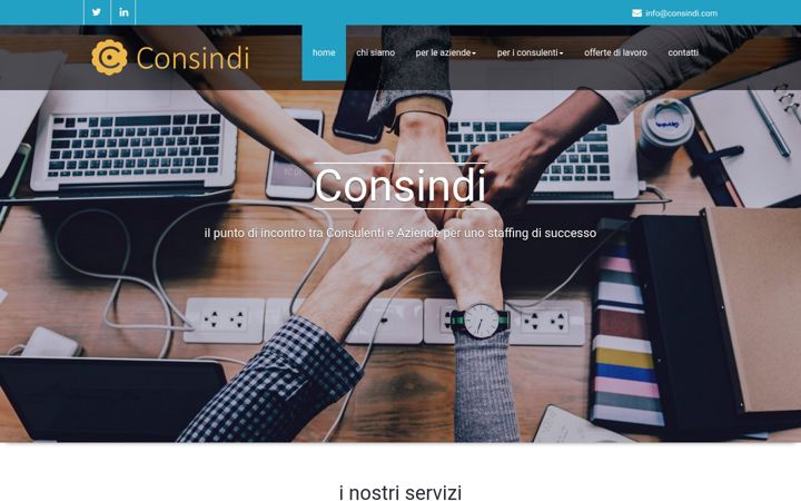 Screenshot of consindi.com