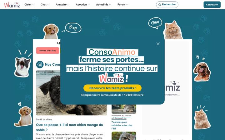 Screenshot of consoanimo.com