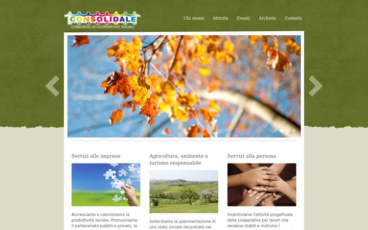 Screenshot of consolidale.it