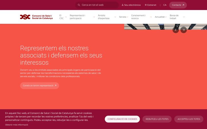 Screenshot of consorci.org