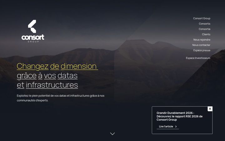 consort-group.com
