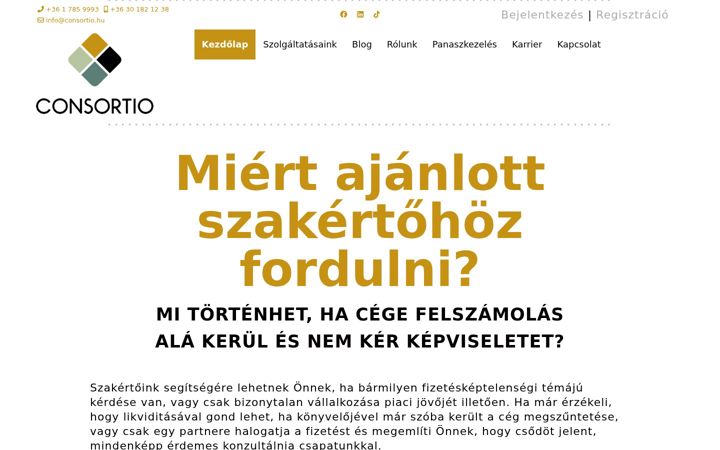 Screenshot von consortio.hu
