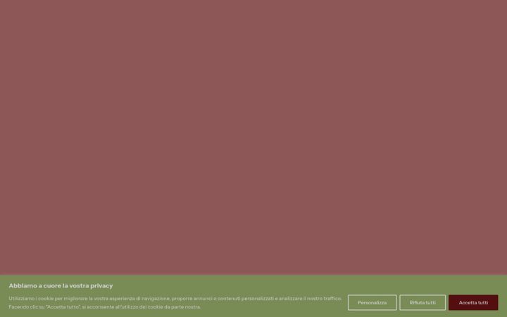 Screenshot of consortiumspa.net