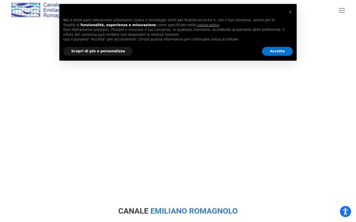 Captură de ecran a consorziocer.it