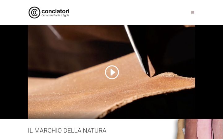 Captură de ecran a consorzioconciatori.it